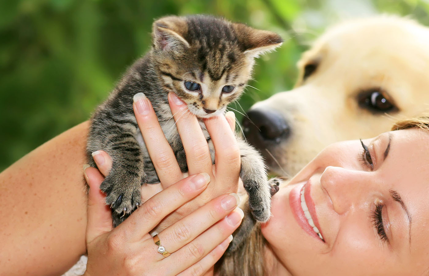 produits-veterinaire-pharmacie-de-camphin-camphin
